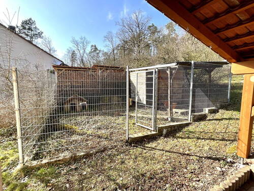 Hunde Garten - 