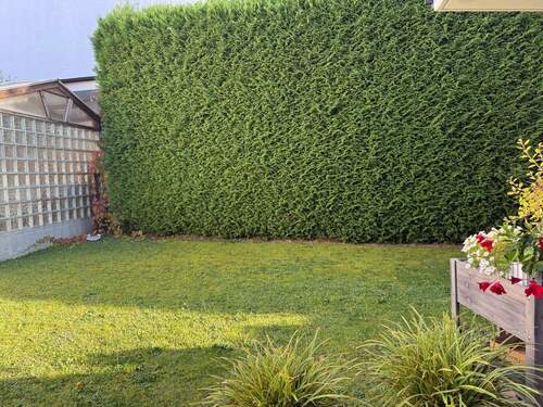 eigener Garten - 