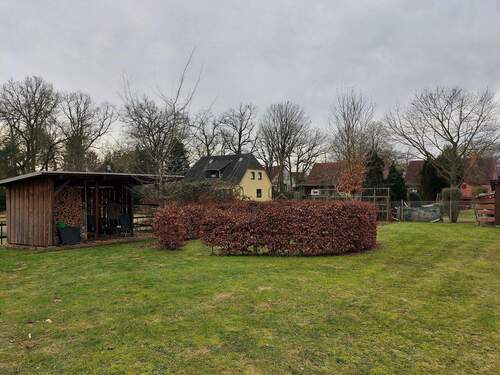 Gartenimpressionen - 