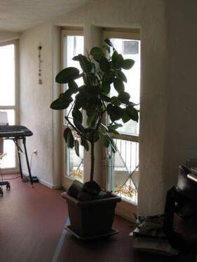 Bild 23 - 