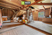 Dachspitz_Neubau - 