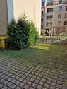kleiner Innenhof - 