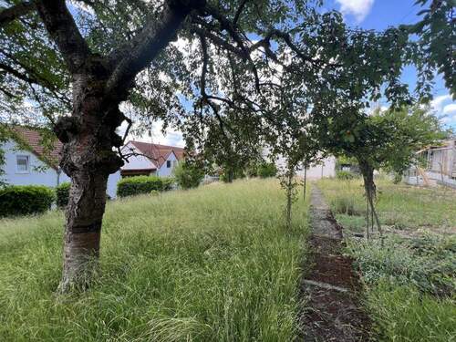 Grundstück - Grundstück in Wiesbaden
