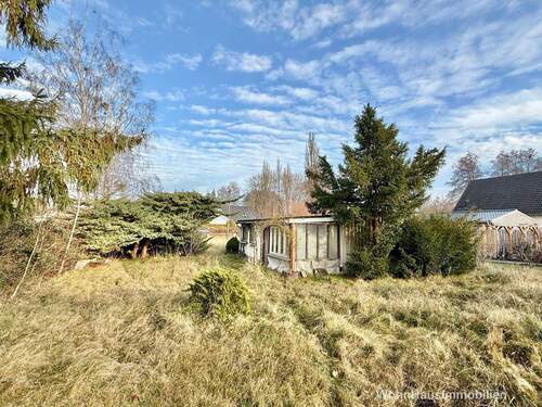 Blick über das vordere Grundstück zur Straße - 