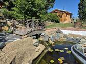 Teich mit Brücke - 