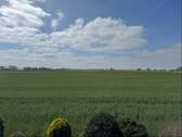 Weitblick aus dem OG - 