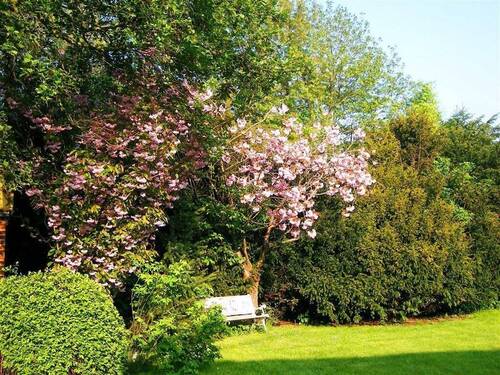 Idyllisches Plätzchen - 