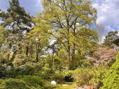 Gartenstimmung - 