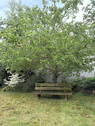 Bild 8 - 