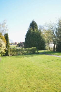 Blick auf Wiesen und Felder - 