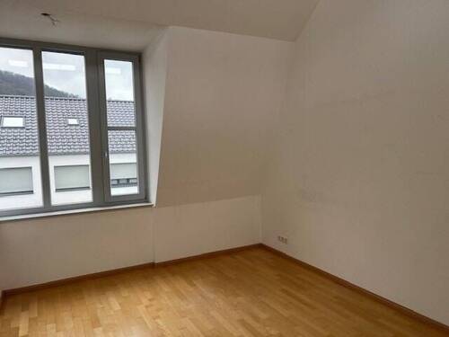 Zimmer1 - 