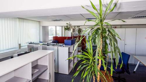 Bild 4 - Büro mit 225,00 m² in Schwieberdingen zur Miete