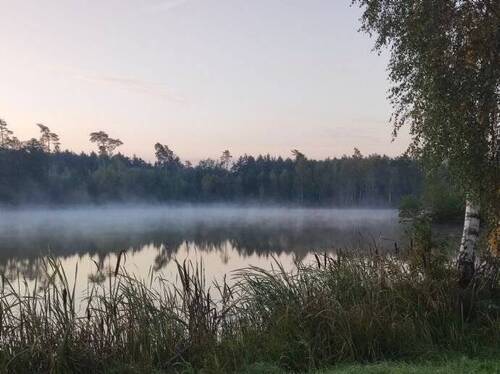 Seeland Oberpfalz - 