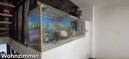 Bild 18 - 