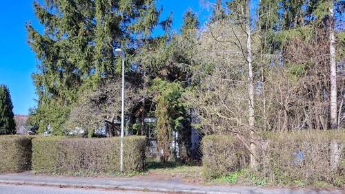 14350 LooseImmo Blick zum Grundstück - 3 Zimmer Doppelhaushälfte zum Kaufen in Malente