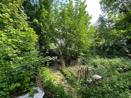 Gemeinschaftsgarten - 