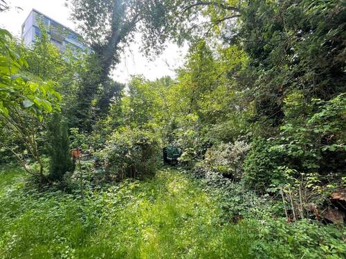 Gemeinschaftsgarten - 
