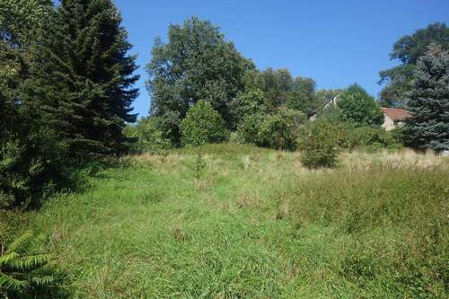 Grundstück - Grundstück zum Kaufen in Eckartsberg