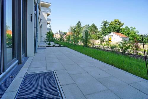 Terrasse - 3 Zimmer Etagenwohnung zur Miete in Dresden