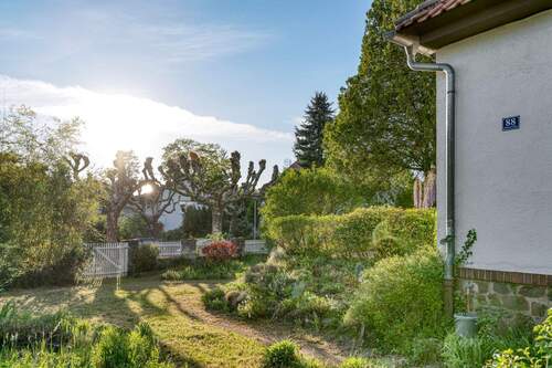 Golden hour im Villengarten - 
