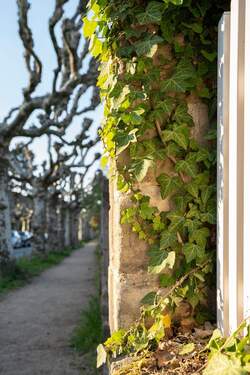 Mauerwerk Detail der Einfriedung - 