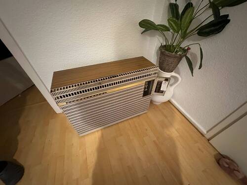 Gaseinzelofen im EG - 