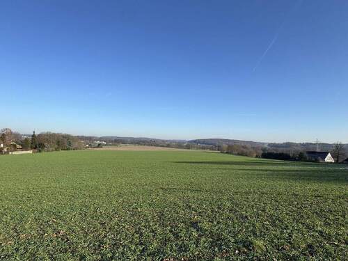 Unverbaute Feldrandlage - 8 Zimmer Einfamilienhaus zum Kaufen in Belm