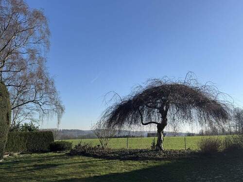 Wunderschöner Blick ins Grüne - 8 Zimmer Einfamilienhaus in Belm