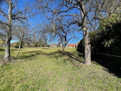 Blick von Süden - Traumhaftes Baugrundstück in ruhiger Lage - Ihr zukünftiges Zuhause!