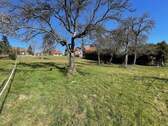 Blick nach Norden - Grundstück zum Kaufen in Rosenberg