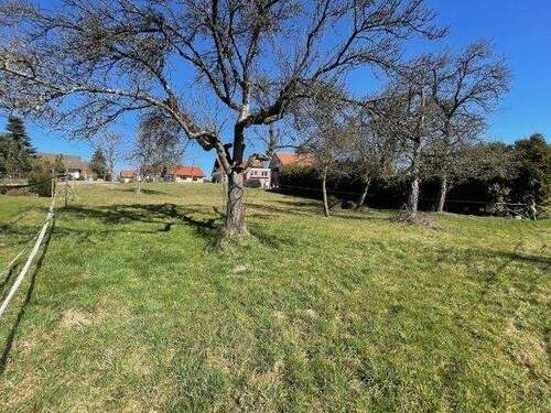 Blick nach Norden - Grundstück zum Kaufen in Rosenberg