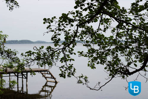 Mit Zugang für Badefreunde - Grundstück in Dersau zum Kaufen