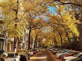 Rönnestraße - 