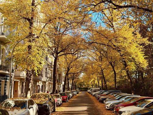 Rönnestraße - 