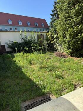 WhatsApp Image 2025-08-12 at 11.26.40 (4) - 