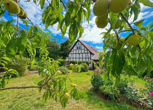 ...inkl. Obstgarten - 6 Zimmer Mehrfamilienhaus, Wohnhaus in Kalbe (Milde)