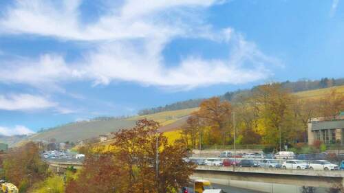 Blick auf die Weinberge - 