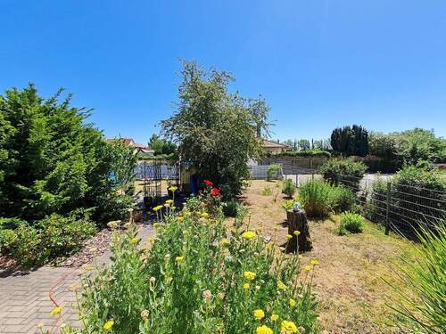 Blick von der Terrasse - 