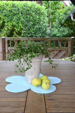 Eigene Ernte - 