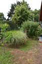 Impressionen - 