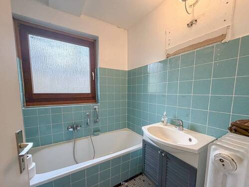 Koe REH am Waldrand-08 - 
