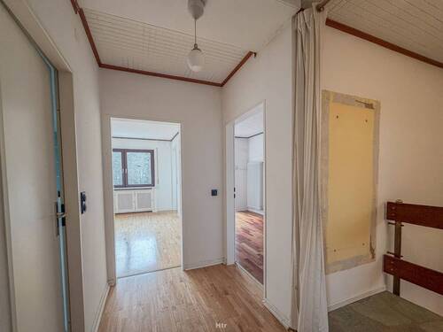 Koe REH am Waldrand-09 - 