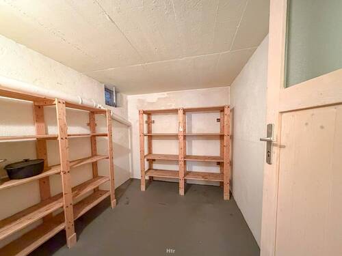 Koe REH am Waldrand-15 - 