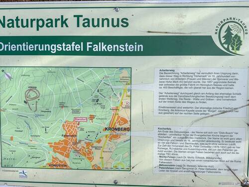 Koe REH am Waldrand-02 - 