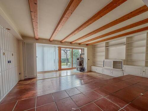 Koe REH am Waldrand-18 - 