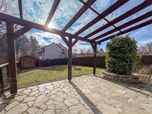 Koe REH am Waldrand-05 - 