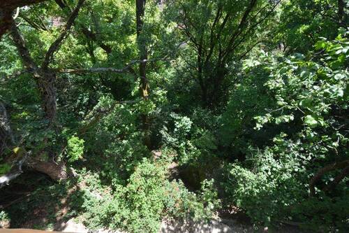 ca. 624 m² Hanggrundstück Ost - 