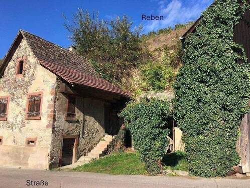 Baugrundstück oder sanieren? - Grundstück in Vogtsburg im Kaiserstuhl zum Kaufen