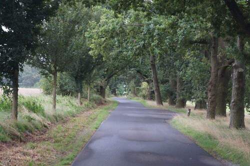 Umgebung Allee - 