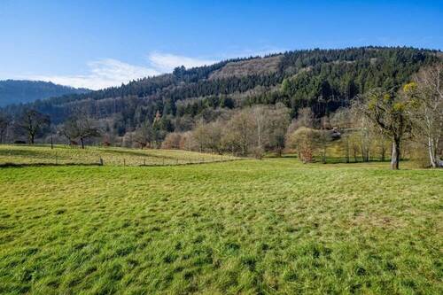 Terrassenblick nach Westen - Mehrfamilienhaus, Wohnhaus in Wald-Michelbach / Unter-Schönmattenwag